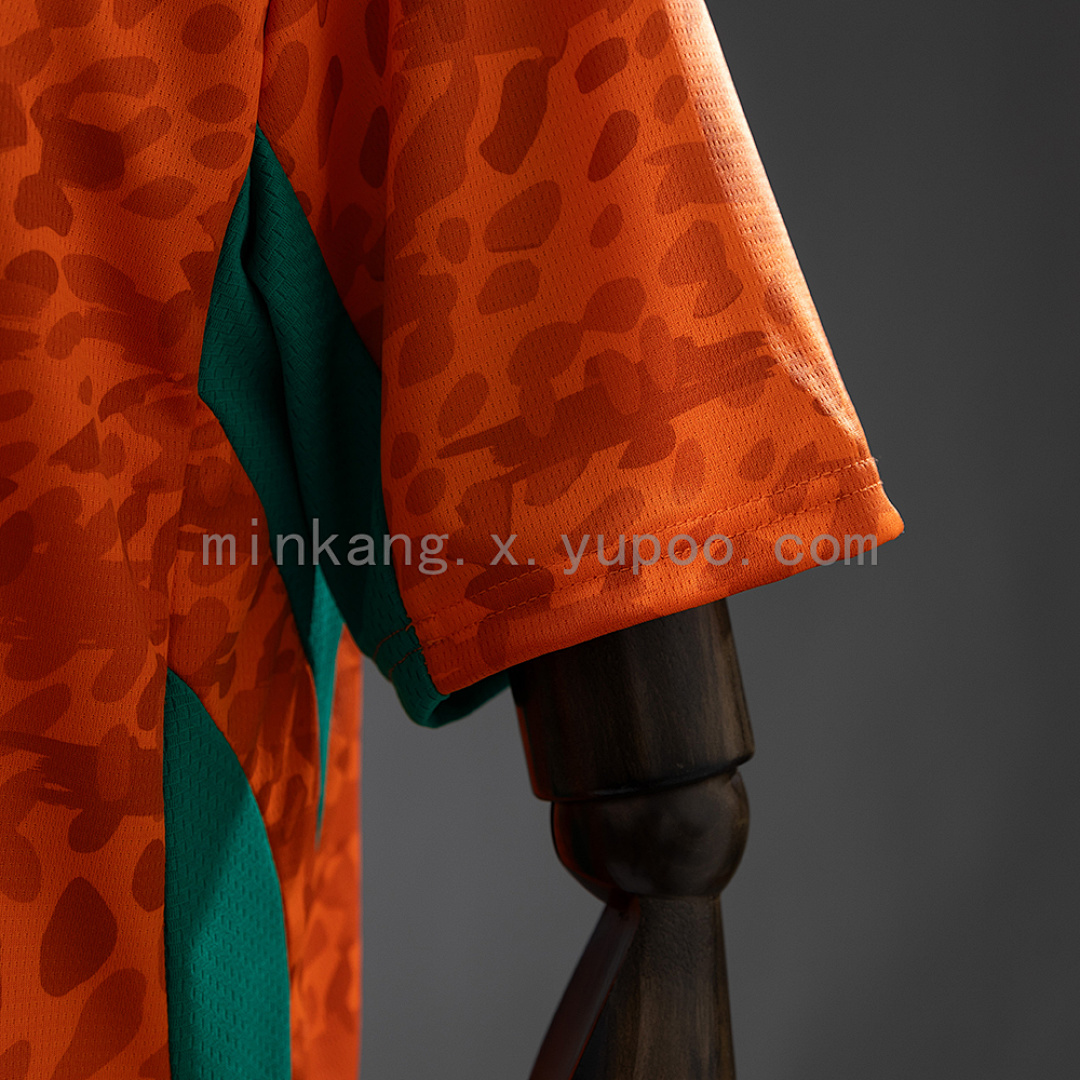 Ivory Coast 26/27 Home Jersey S-XXL 6