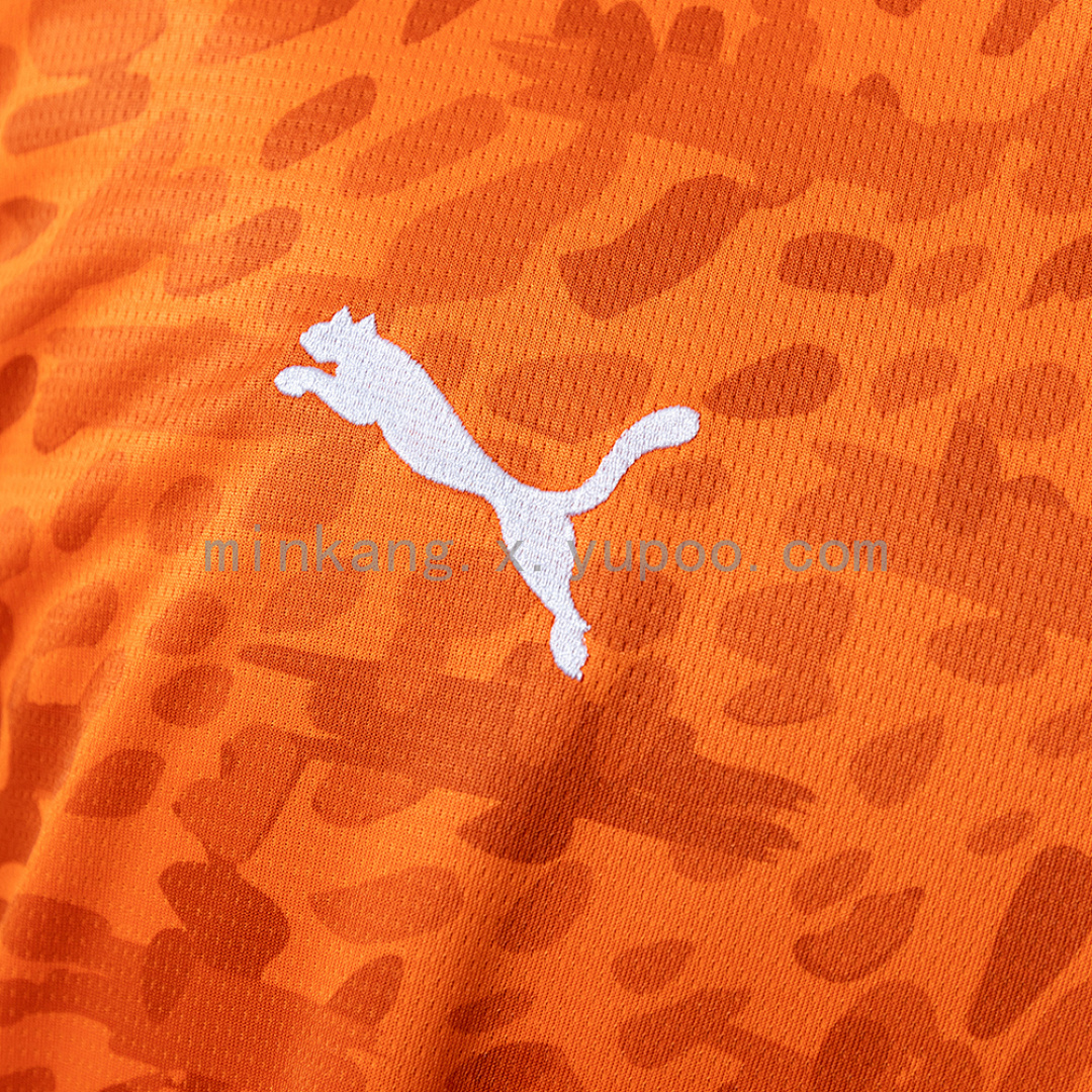 Ivory Coast 26/27 Home Jersey S-XXL 7