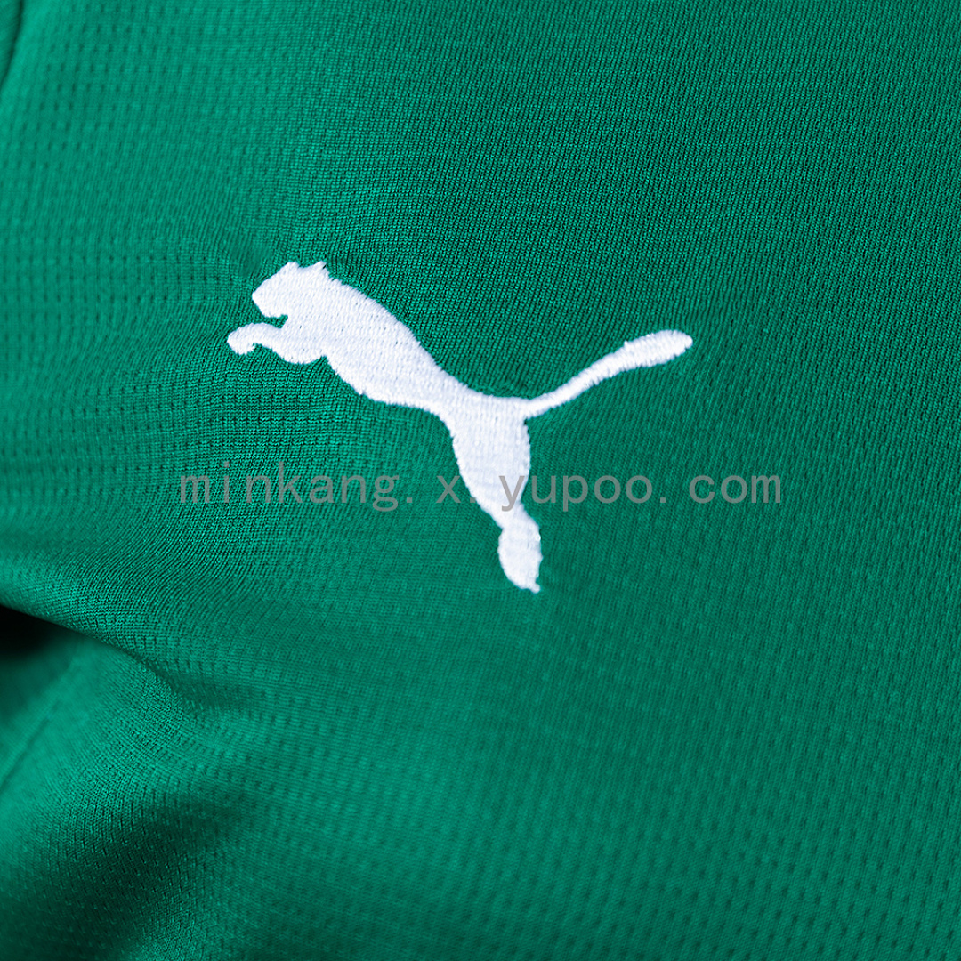 Palmeiras 26/27 Women's Home Jersey S-XXL 5