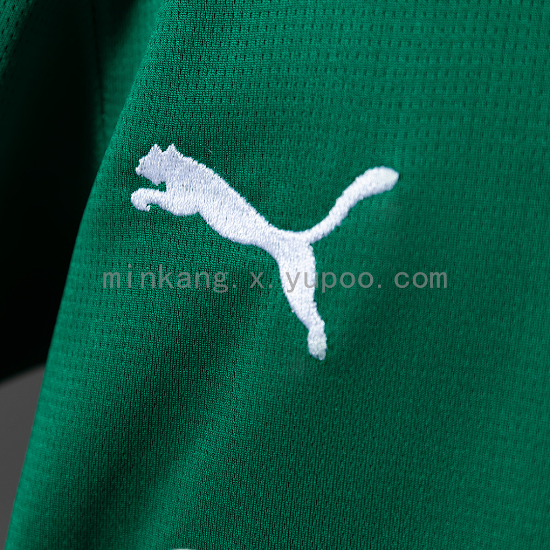 Palmeiras 26/27 Home Kids Kit Jersey Size 16-28 7