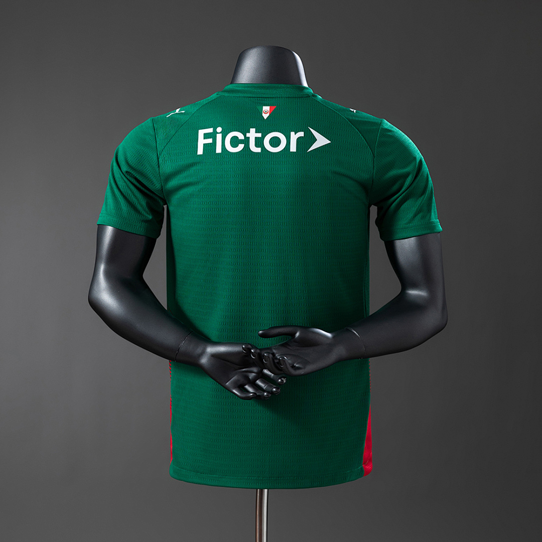 Palmeiras 26/27 Player Version Home Jersey S-4XL 3