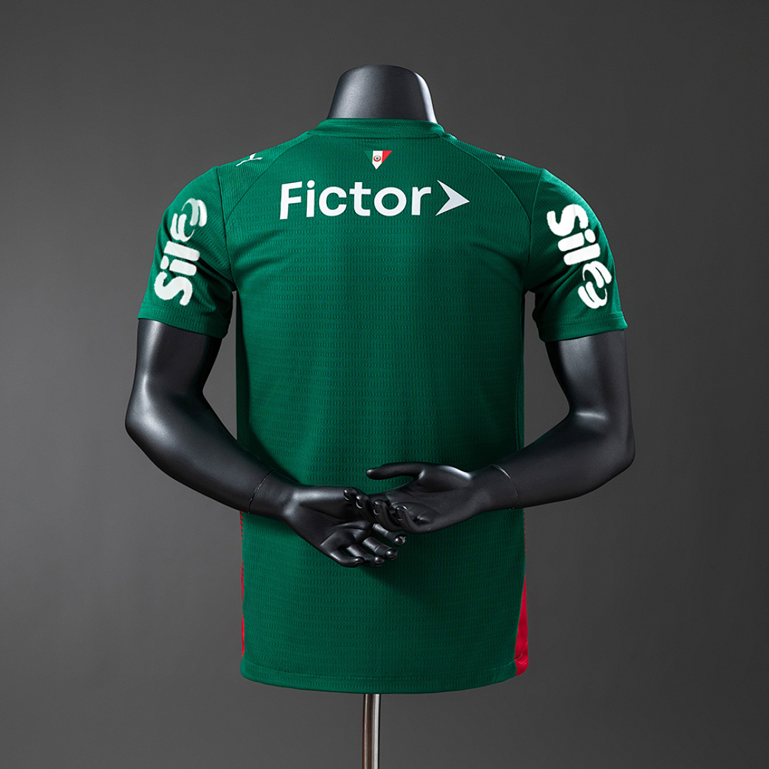 Palmeiras 26/27 Home All sponsors Player Version Jersey S-3XL 2