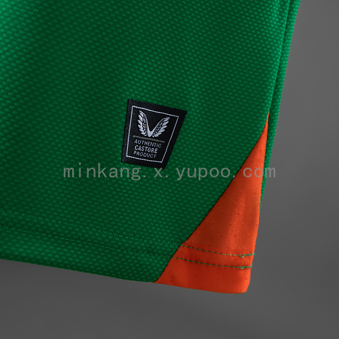 Ireland 25/26 Home Player Version Jersey S-3XL 6