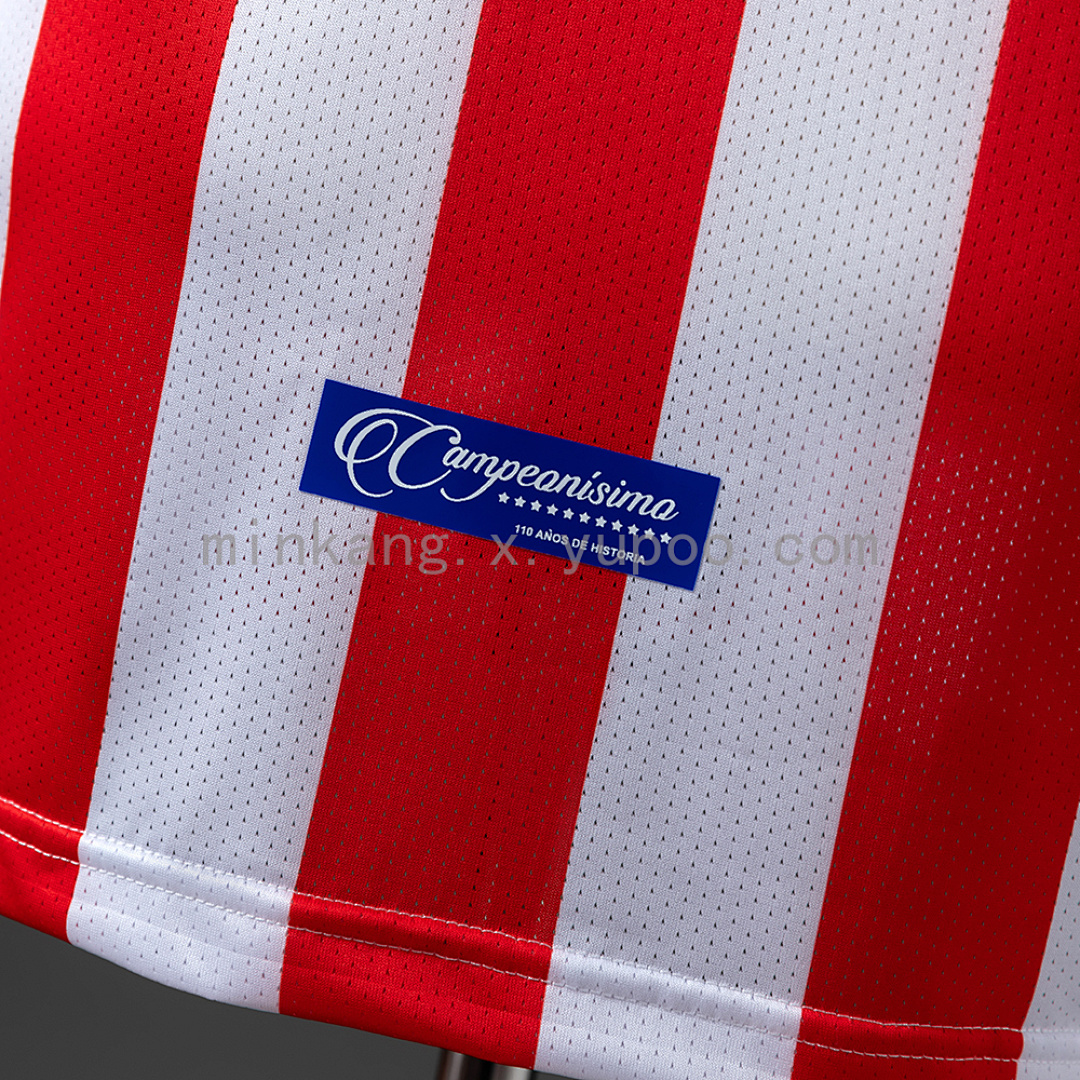 Chivas de Guadalajara 110th Anniversary Edition Long-Sleeved Retro Jerse S-XXL 4