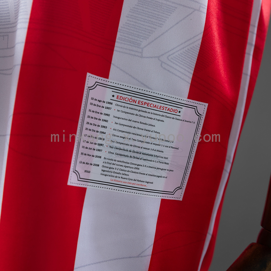 Chivas de Guadalajara 10/11 Home Retro Jersey S-XXL 4