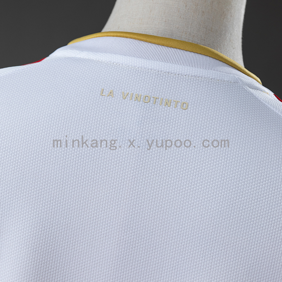 Venezuela 2026 Away Jersey S-XXL 4