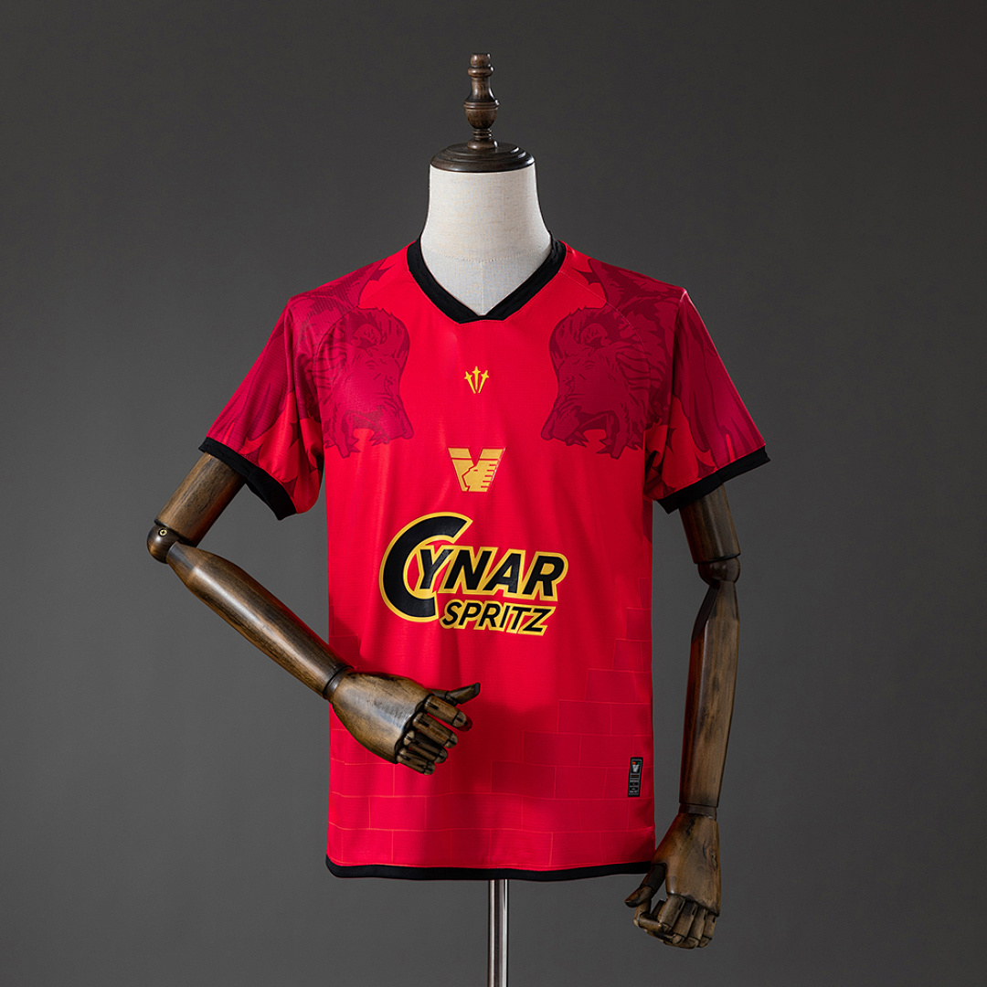 Venezia 25/26 Special Edition Fourth Jersey S-XXL 2