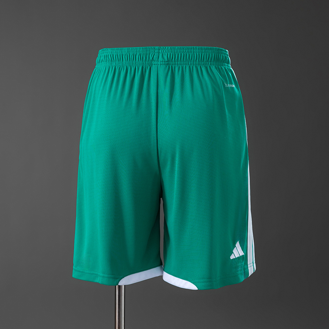 Northern Ireland 2026 Home Shorts S-XXL 3