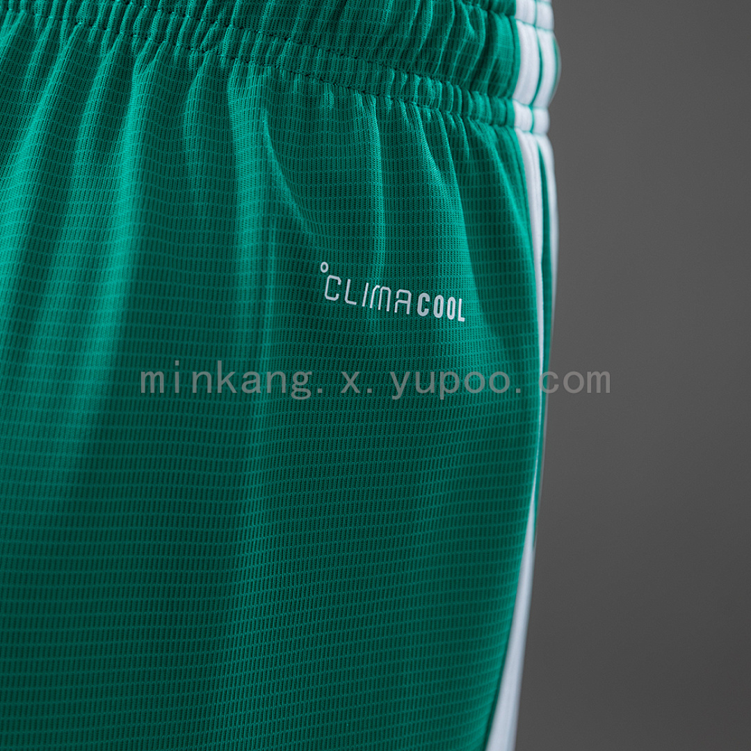 Northern Ireland 2026 Home Shorts S-XXL 5