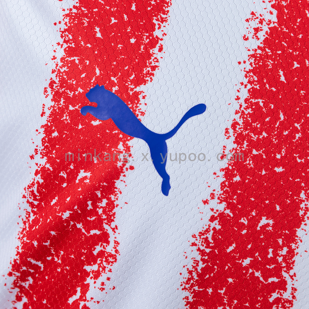 Paraguay 2026 Home Jersey S-4XL 8
