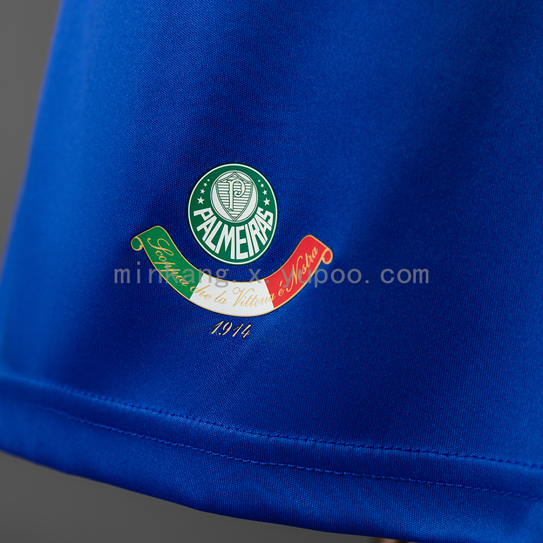 Palmeiras 09/10 Third Away Retro Jersey S-XXL 4