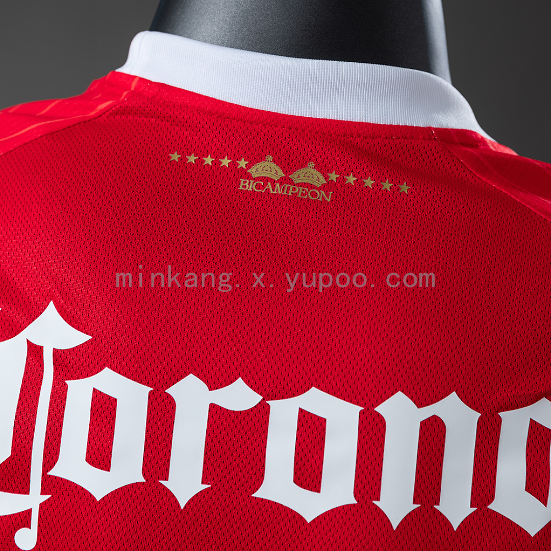 Deportivo Toluca 26/27 Home Player Version Jersey S-XXL 4
