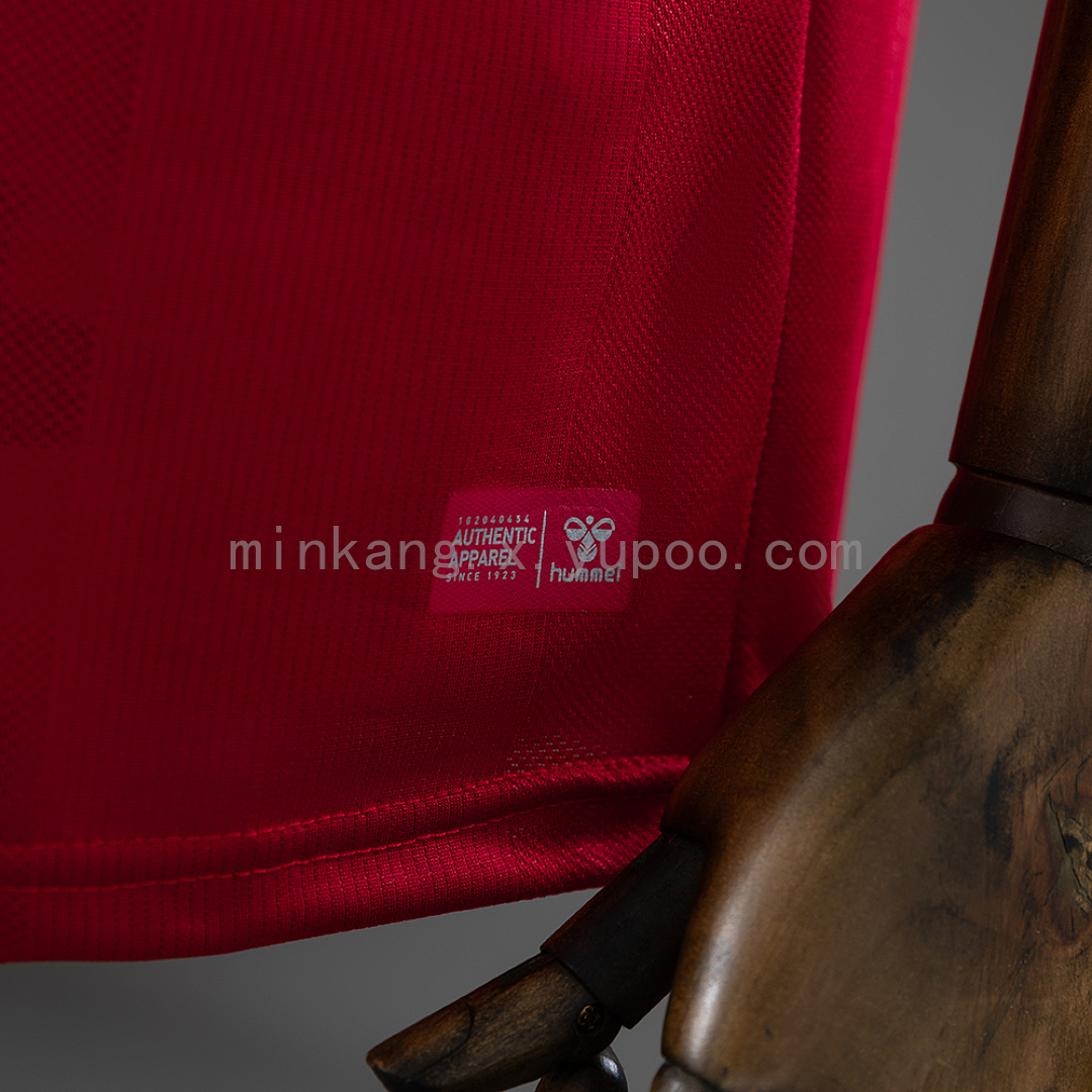 Denmark 2026 Home Jersey S-4XL 4