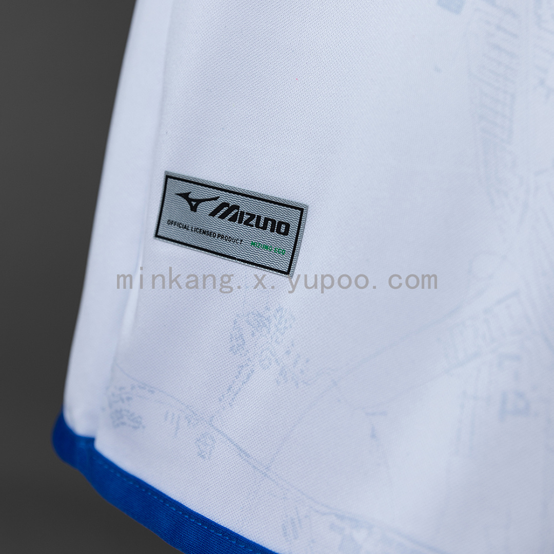 Hansa Rostock 25/26 Away Jersey S-4XL 5