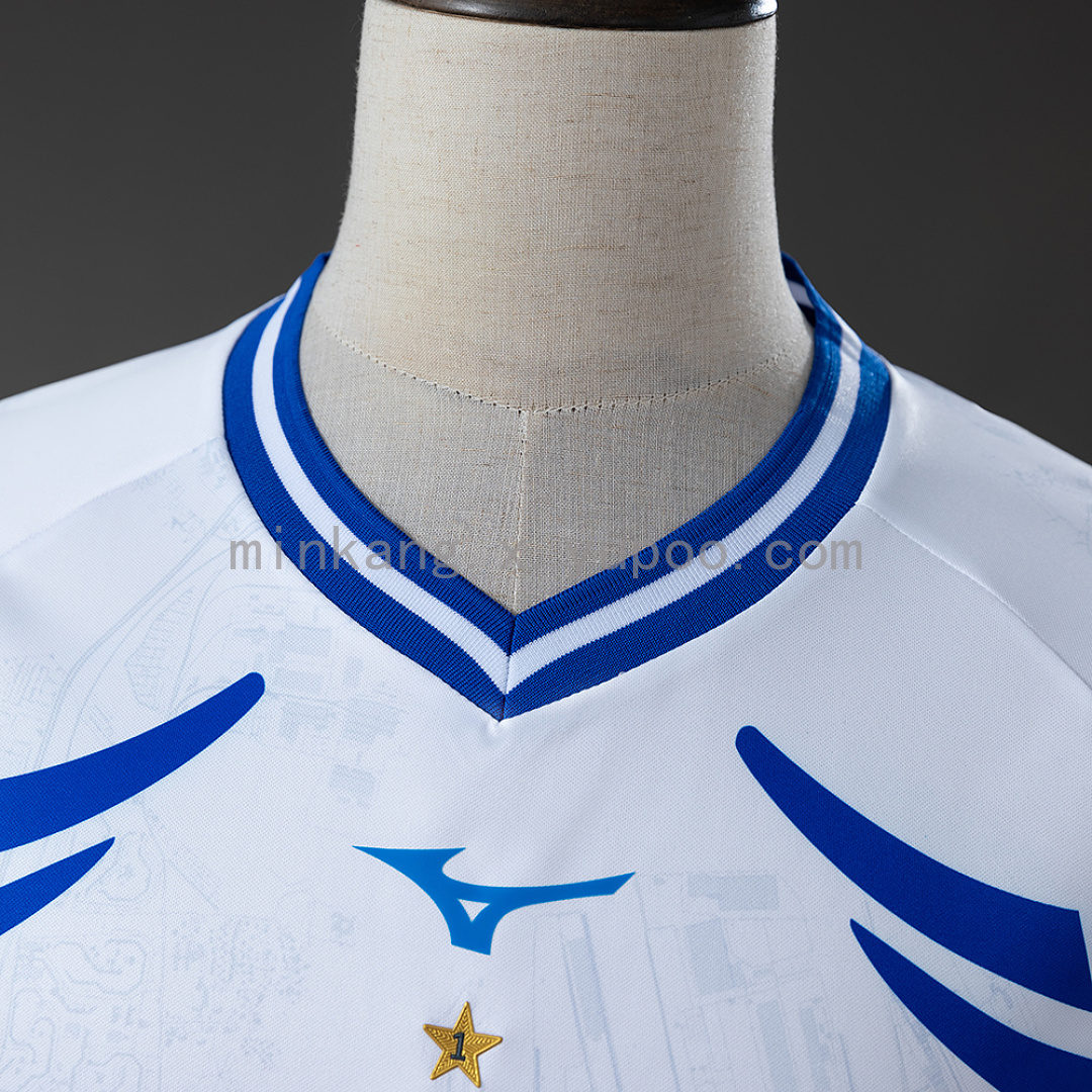 Hansa Rostock 25/26 Away Jersey S-4XL 9