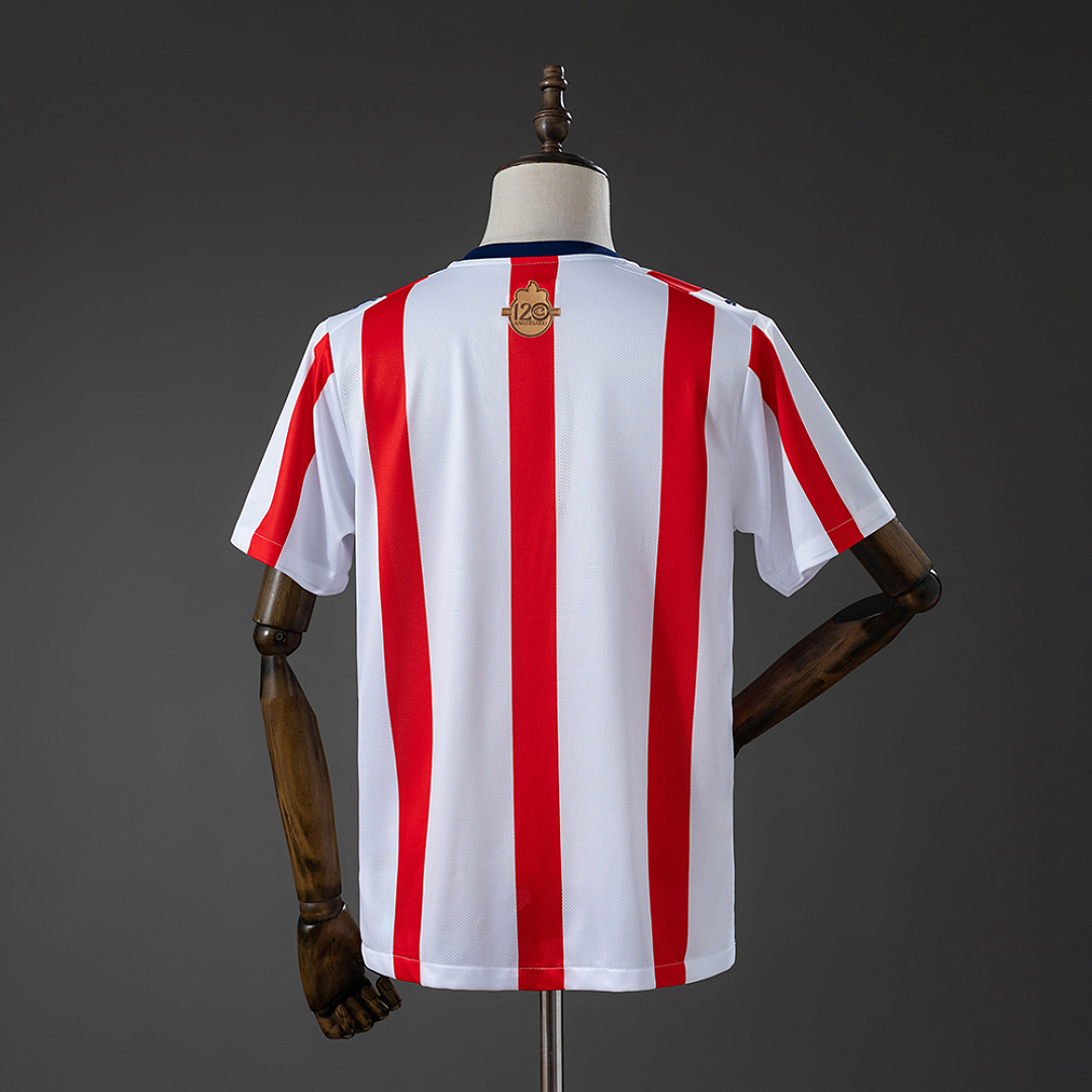 Chivas de Guadalajara 120 Aniversario Jersey S-4XL 2