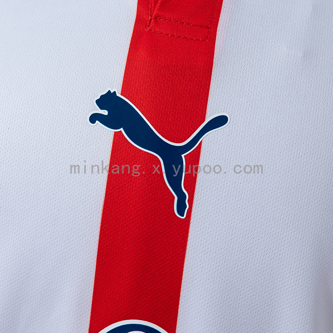Chivas de Guadalajara 120 Aniversario Jersey S-4XL 8