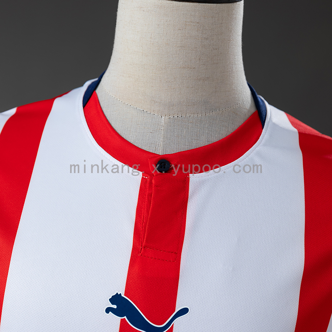 Chivas de Guadalajara 120 Aniversario Jersey S-4XL 10