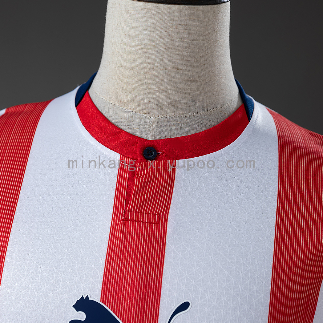 Chivas de Guadalajara 120 Aniversario Long Sleeve Jersey S-4XL 10