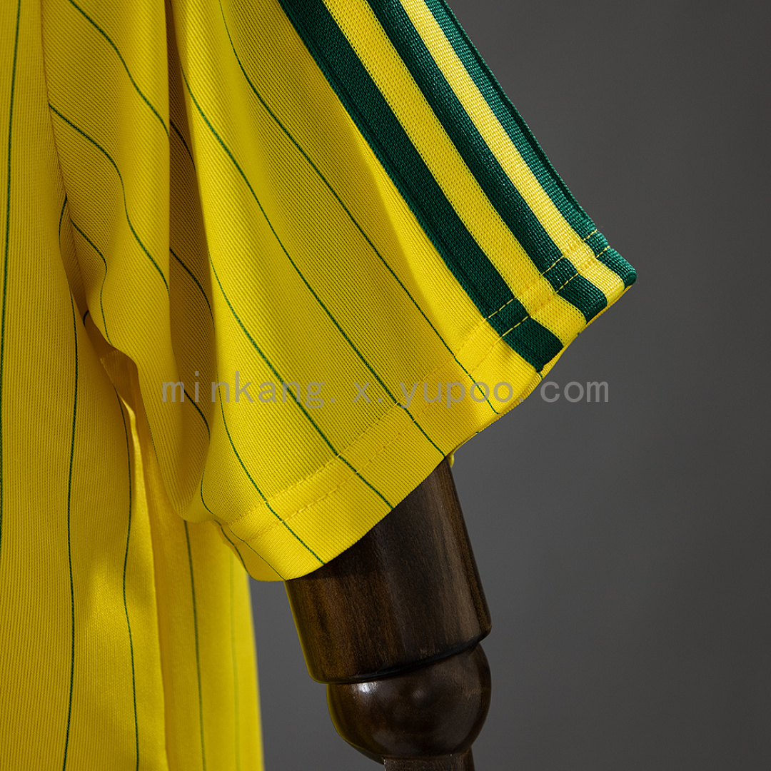 Brazil Terrace Icons Jersey Yellow S-XXL 5