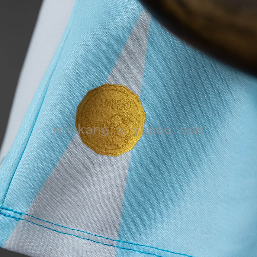 Gremio 26/27 Away Women's Jersey S-XXL 6
