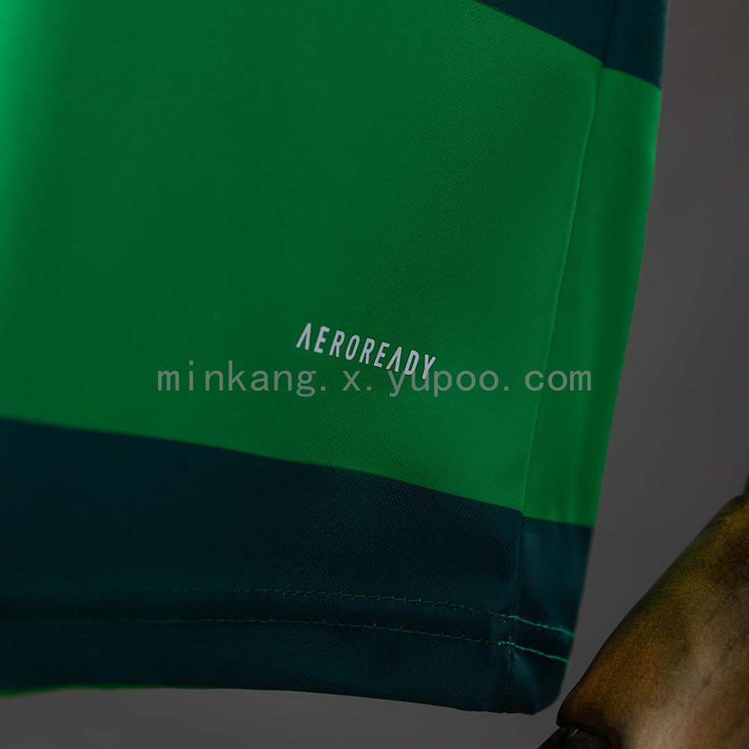 Palmeiras 10/11 Home Retro Jersey S-XXL 7