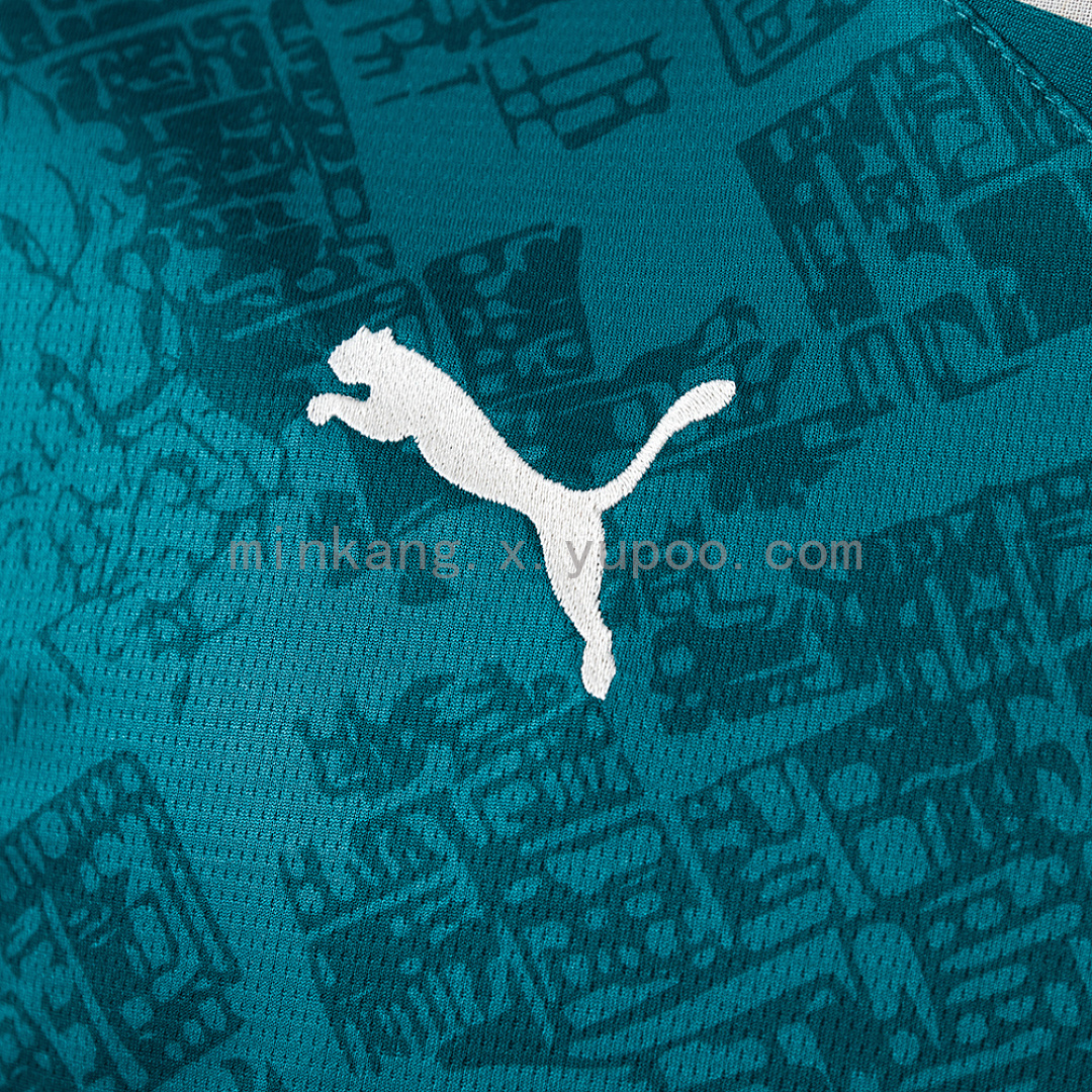 Fluminense 26/27 Third Jersey S-4XL 9