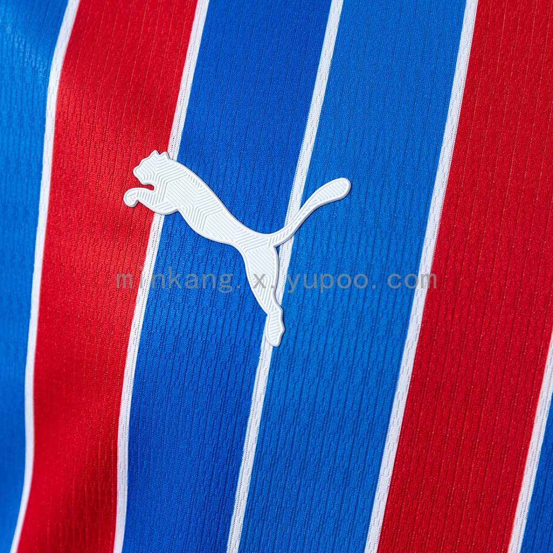Bahia 26/27 Away Player Version Jersey S-4XL 5