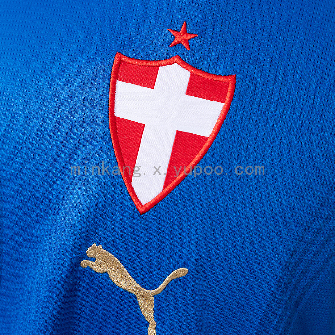 Palmeiras 26/27 Third away Jersey S-4XL 7