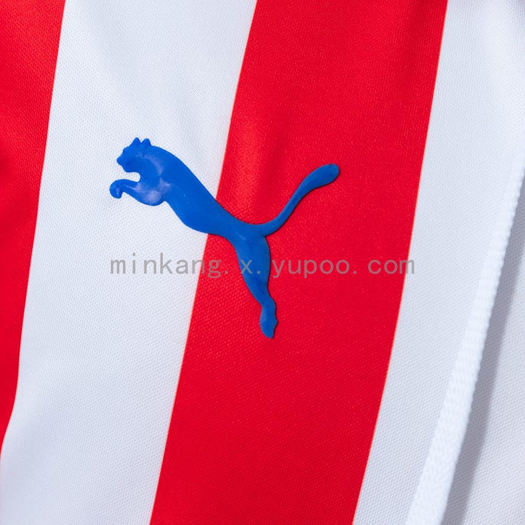 Chivas 16/17 110th Anniversary Retro Jeresy S-XXL 6