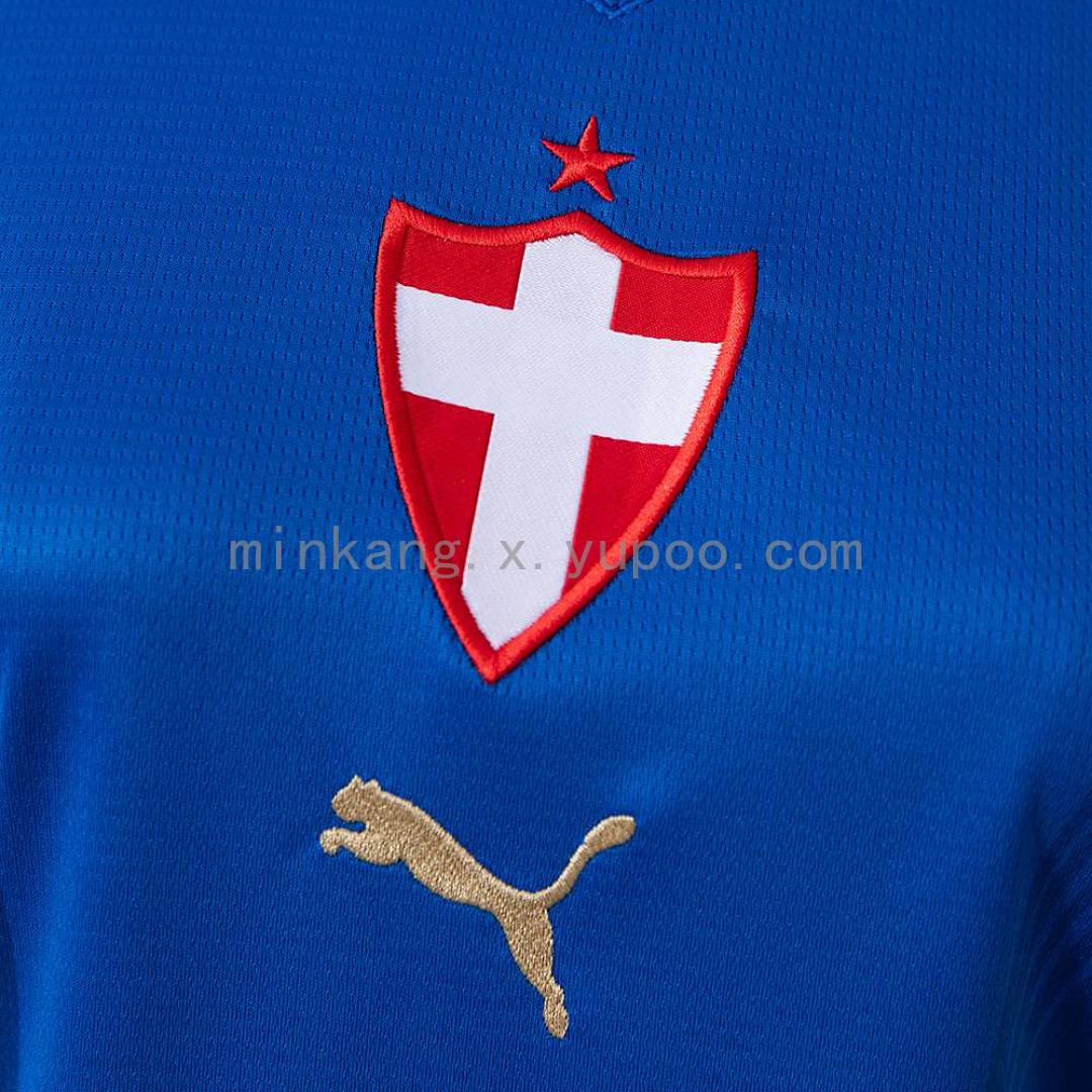 Palmeiras 2026/27 Third Away Women's Jersey S-XXL 5